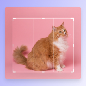 Product Photo Mockups