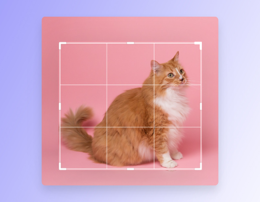 Product Photo Mockups
